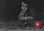 Image Allemand de pièces d'artillerie automotrices Saint Vith Belgique, 1944, de la seconde 44 séquences d'archives historiques vidéo 65675054506
