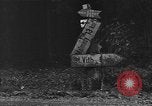 Image Allemand de pièces d'artillerie automotrices Saint Vith Belgique, 1944, de la seconde 47 séquences d'archives historiques vidéo 65675054506