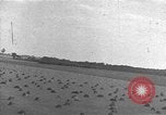 Image avion allemand théâtre européen, 1944, de la seconde 47 séquences d'archives historiques vidéo 65675054507