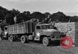 Standbild rote Kugel Konvoi Chartres Frankreich, 1944, aus Sekunde 31 historischem Filmmaterial Videoclip 65675054522