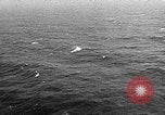 Immagine di SACLANT Norfolk Virginia USA, 1960, secondo 62 filmato di repertorio 65675054543