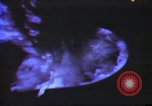 Standbild Polaris-U-Boot United States USA, 1965, aus Sekunde 27 historischem Filmmaterial Videoclip 65675054556