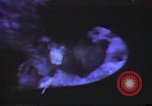 Standbild Polaris-U-Boot United States USA, 1965, aus Sekunde 28 historischem Filmmaterial Videoclip 65675054556