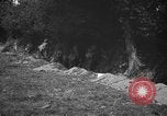 Image of United States troops France, 1944, second 24 stock footage video 65675054559