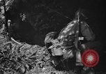 Image of United States troops France, 1944, second 26 stock footage video 65675054559