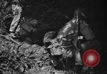 Image of United States troops France, 1944, second 27 stock footage video 65675054559