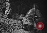 Image of United States troops France, 1944, second 28 stock footage video 65675054559