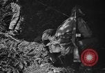 Image of United States troops France, 1944, second 29 stock footage video 65675054559