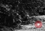 Image of United States troops France, 1944, second 32 stock footage video 65675054559