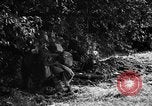Image of United States troops France, 1944, second 34 stock footage video 65675054559