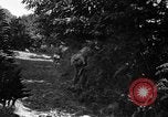 Image of United States troops France, 1944, second 36 stock footage video 65675054559