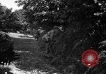 Image of United States troops France, 1944, second 37 stock footage video 65675054559