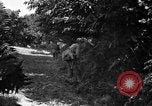 Image of United States troops France, 1944, second 38 stock footage video 65675054559