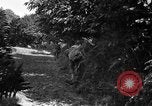 Image of United States troops France, 1944, second 39 stock footage video 65675054559