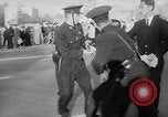 Immagine di Tumulti e dimostrazioni Corea, 1960, secondo 49 filmato di repertorio 65675054563
