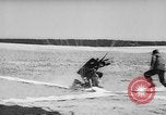Standbild sky divers Fort Bragg North Carolina USA, 1960, aus Sekunde 47 historischem Filmmaterial Videoclip 65675054567