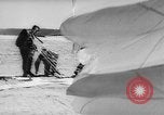 Standbild sky divers Fort Bragg North Carolina USA, 1960, aus Sekunde 50 historischem Filmmaterial Videoclip 65675054567