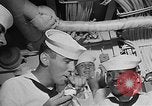 Standbild Maria LaVecchia Florida United States USA, 1953, aus Sekunde 19 historischem Filmmaterial Videoclip 65675054573