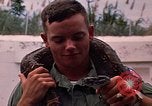Image soldat américain Panama, 1969, de la seconde 10 séquences d'archives historiques vidéo 65675054578