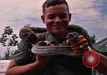 Image soldat américain Panama, 1969, de la seconde 25 séquences d'archives historiques vidéo 65675054578