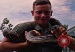 Image soldat américain Panama, 1969, de la seconde 28 séquences d'archives historiques vidéo 65675054578