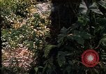 Image soldat américain Panama, 1969, de la seconde 3 séquences d'archives historiques vidéo 65675054579