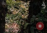 Image soldat américain Panama, 1969, de la seconde 4 séquences d'archives historiques vidéo 65675054579