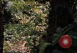 Image soldat américain Panama, 1969, de la seconde 7 séquences d'archives historiques vidéo 65675054579