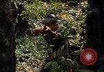 Image soldat américain Panama, 1969, de la seconde 10 séquences d'archives historiques vidéo 65675054579