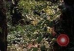 Image soldat américain Panama, 1969, de la seconde 12 séquences d'archives historiques vidéo 65675054579