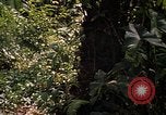 Image soldat américain Panama, 1969, de la seconde 15 séquences d'archives historiques vidéo 65675054579