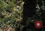 Image soldat américain Panama, 1969, de la seconde 16 séquences d'archives historiques vidéo 65675054579
