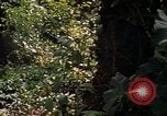 Image soldat américain Panama, 1969, de la seconde 21 séquences d'archives historiques vidéo 65675054579