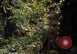 Image soldat américain Panama, 1969, de la seconde 26 séquences d'archives historiques vidéo 65675054579