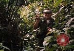 Image soldat américain Panama, 1969, de la seconde 31 séquences d'archives historiques vidéo 65675054579
