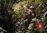 Image soldat américain Panama, 1969, de la seconde 32 séquences d'archives historiques vidéo 65675054579