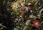 Image soldat américain Panama, 1969, de la seconde 33 séquences d'archives historiques vidéo 65675054579