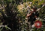 Image soldat américain Panama, 1969, de la seconde 40 séquences d'archives historiques vidéo 65675054579