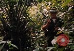 Image soldat américain Panama, 1969, de la seconde 41 séquences d'archives historiques vidéo 65675054579