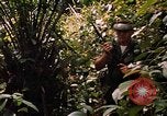 Image soldat américain Panama, 1969, de la seconde 42 séquences d'archives historiques vidéo 65675054579