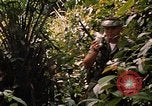 Image soldat américain Panama, 1969, de la seconde 43 séquences d'archives historiques vidéo 65675054579