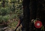 Image soldat américain Panama, 1969, de la seconde 50 séquences d'archives historiques vidéo 65675054579