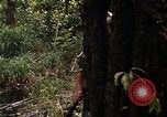 Image soldat américain Panama, 1969, de la seconde 51 séquences d'archives historiques vidéo 65675054579