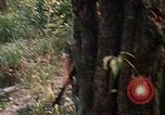 Image soldat américain Panama, 1969, de la seconde 52 séquences d'archives historiques vidéo 65675054579