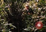 Image soldat américain Panama, 1969, de la seconde 53 séquences d'archives historiques vidéo 65675054579