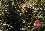 Image soldat américain Panama, 1969, de la seconde 54 séquences d'archives historiques vidéo 65675054579