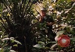 Image soldat américain Panama, 1969, de la seconde 55 séquences d'archives historiques vidéo 65675054579