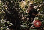 Image soldat américain Panama, 1969, de la seconde 56 séquences d'archives historiques vidéo 65675054579