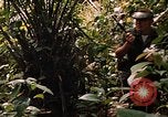 Image soldat américain Panama, 1969, de la seconde 58 séquences d'archives historiques vidéo 65675054579