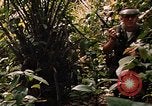 Image soldat américain Panama, 1969, de la seconde 59 séquences d'archives historiques vidéo 65675054579